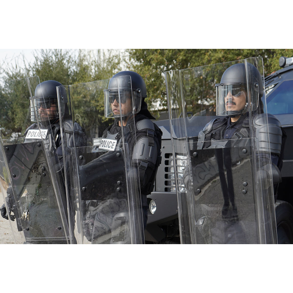 48 x 24 Interlocking Riot Shield - Damascus Gear